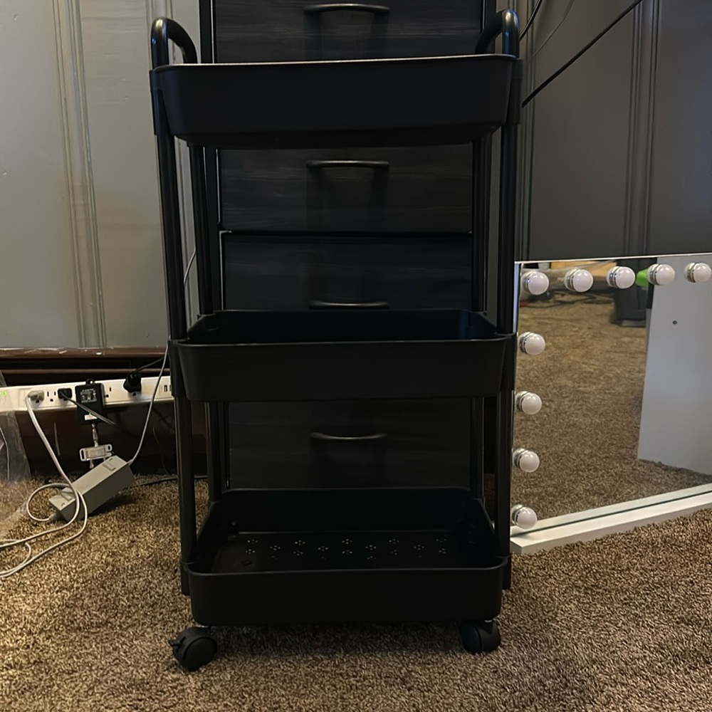 Organizer with wheels